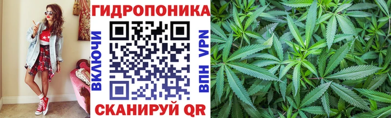 Конопля конопля наркота Черноголовка